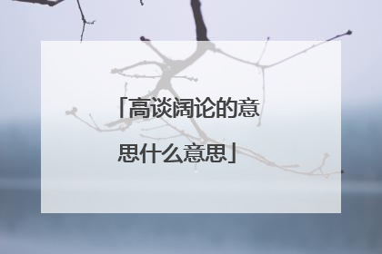 高谈阔论的意思什么意思