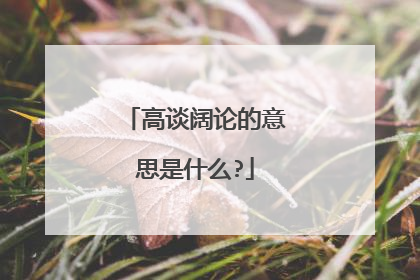 高谈阔论的意思是什么?