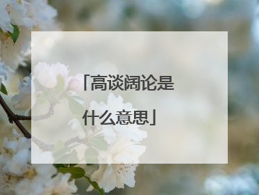 高谈阔论是什么意思