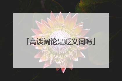高谈阔论是贬义词吗