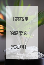 高质量的温柔文案短句