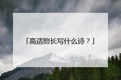 高适擅长写什么诗？