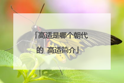 高适是哪个朝代的 高适简介