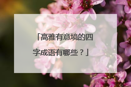 高雅有意境的四字成语有哪些？