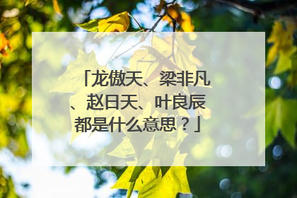 龙傲天、梁非凡、赵日天、叶良辰都是什么意思？