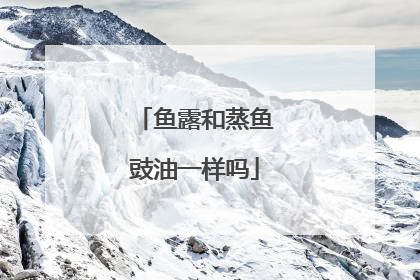 鱼露和蒸鱼豉油一样吗