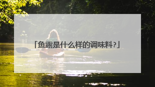 鱼露是什么样的调味料?