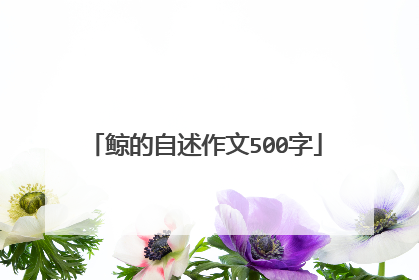 鲸的自述作文500字