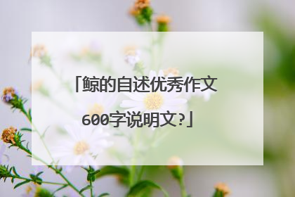 鲸的自述优秀作文600字说明文?