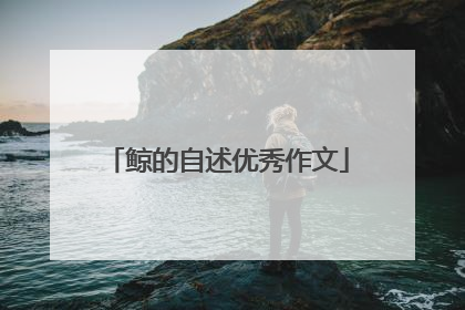 鲸的自述优秀作文