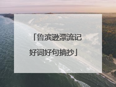 鲁滨逊漂流记好词好句摘抄