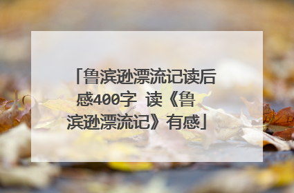 鲁滨逊漂流记读后感400字 读《鲁滨逊漂流记》有感