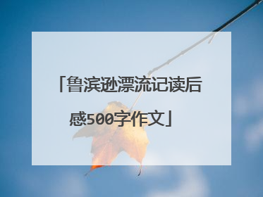 鲁滨逊漂流记读后感500字作文