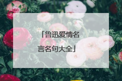 鲁迅爱情名言名句大全