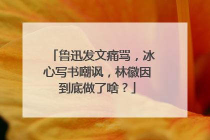 鲁迅发文痛骂,冰心写书嘲讽,林徽因到底做了啥?