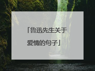 鲁迅先生关于爱情的句子