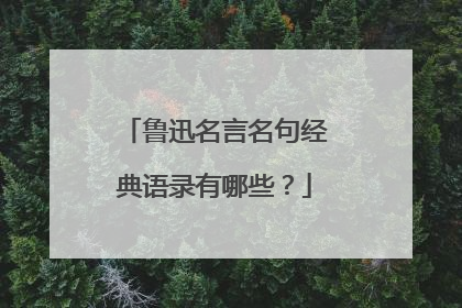 鲁迅名言名句经典语录有哪些？