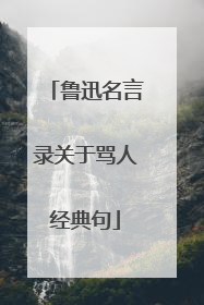 鲁迅名言录关于骂人经典句