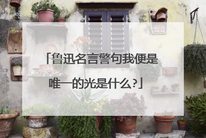 鲁迅名言警句我便是唯一的光是什么?