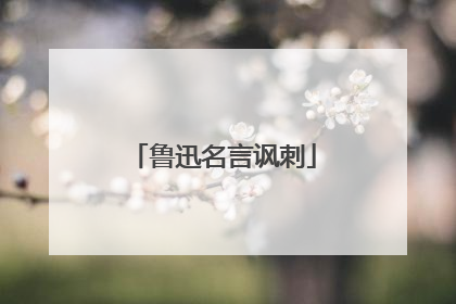 鲁迅名言讽刺