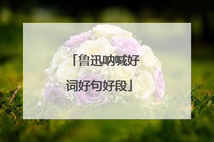 鲁迅呐喊好词好句好段