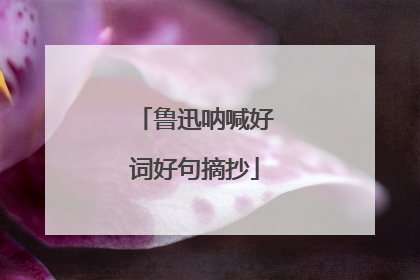 鲁迅呐喊好词好句摘抄