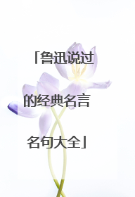 鲁迅说过的经典名言名句大全