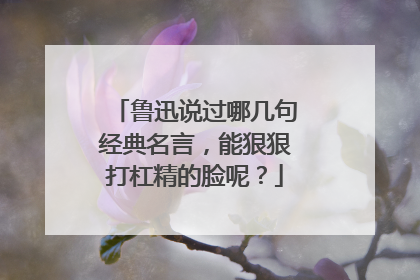 鲁迅说过哪几句经典名言，能狠狠打杠精的脸呢？