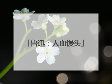 鲁迅:人血馒头
