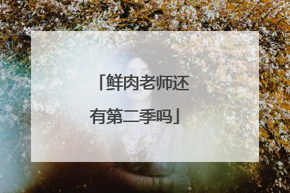 鲜肉老师还有第二季吗