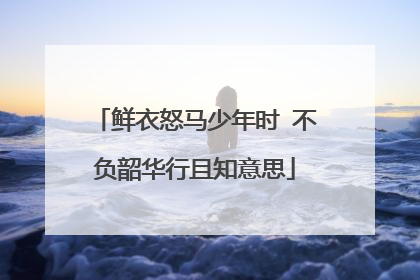 鲜衣怒马少年时 不负韶华行且知意思