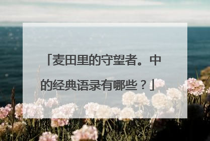 麦田里的守望者。中的经典语录有哪些？