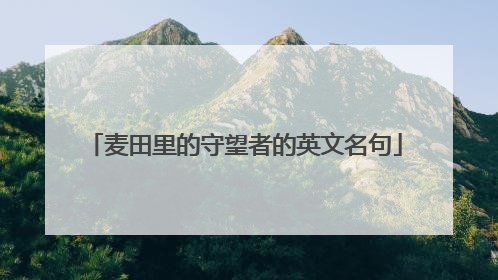 麦田里的守望者的英文名句