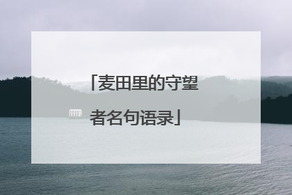 麦田里的守望者名句语录