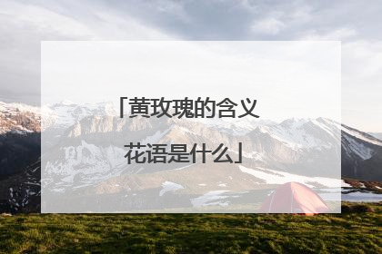 黄玫瑰的含义 花语是什么