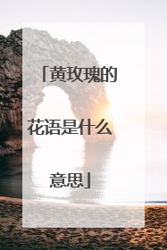 黄玫瑰的花语是什么意思