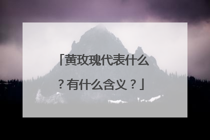 黄玫瑰代表什么？有什么含义？