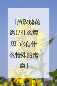 黄玫瑰花语是什么意思 它有什么特殊的寓意