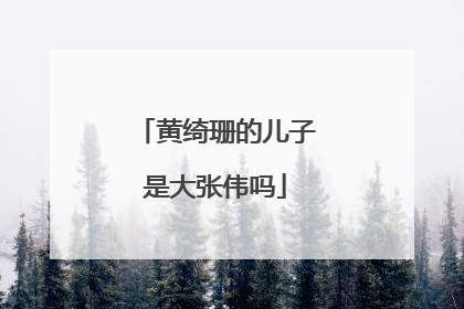 黄绮珊的儿子是大张伟吗