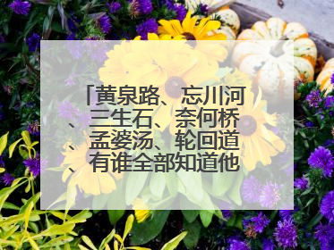 黄泉路、忘川河、三生石、奈何桥、孟婆汤、轮回道、有谁全部知道他们的传说？