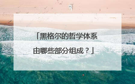 黑格尔的哲学体系由哪些部分组成？