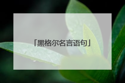 黑格尔名言语句