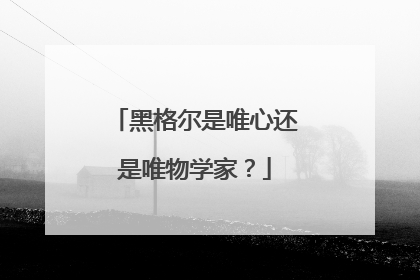 黑格尔是唯心还是唯物学家？