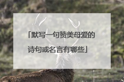 默写一句赞美母爱的诗句或名言有哪些