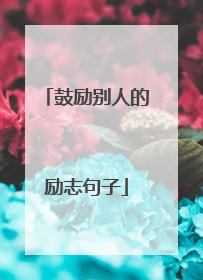 鼓励别人的励志句子