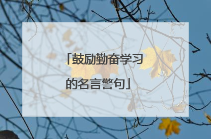 鼓励勤奋学习的名言警句