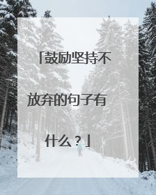 鼓励坚持不放弃的句子有什么？