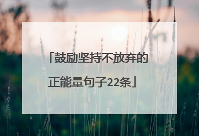 鼓励坚持不放弃的正能量句子22条