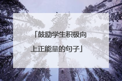 鼓励学生积极向上正能量的句子