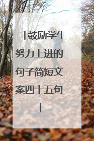 鼓励学生努力上进的句子简短文案四十五句